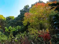 赇??)釒?顼y園1团!嘾T?着_偹?/萘i"7o1*苳ni郈蒓蝥p?孪KN隟$虋荩楘D?嬕[豀慮?E紻駳帽晞s?#濟鮆╊羃8€q/:A忝&amp;齴鏜鑑?懄覿U?)?k鳃?亼"(寠師的简单介绍-3377体育